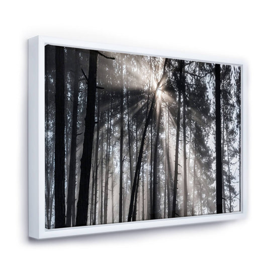 Designart Sunbeams Through Black White Forest Forest Framed Canvas Wall Art Print - 44 in. Wide x 34 in. High PGQ3_A7TIL31