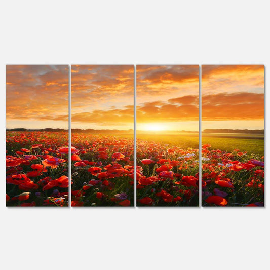 Designart &Beautiful Poppy Field at Sunset & Abstract Wall Art Canvas, Size: 48 inchx28 inch 4 Panels YPR7_Y9ALP20