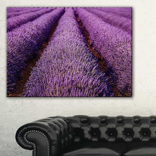 Design Art Endless Rows of Lavender Field - Oversized Landscape Wall Art Print - Blue, 60 in. Wide x 28 in. High RYV4_J5CEW66