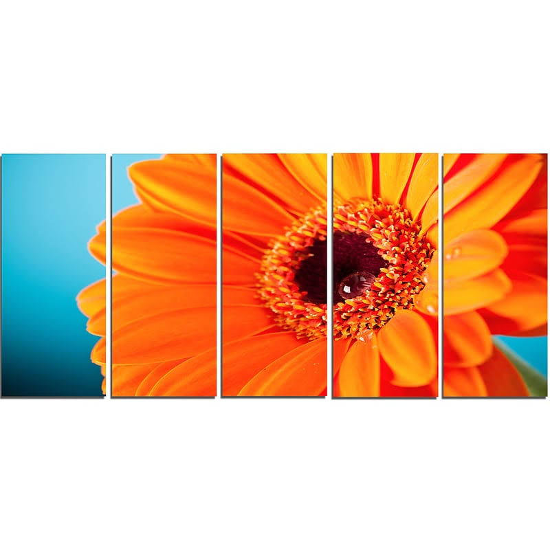 Designart &Orange Daisy Gerbera Flower Close-up& 5 Piece Graphic Art on Wrapped Canvas Set QFC9_D6CVF14