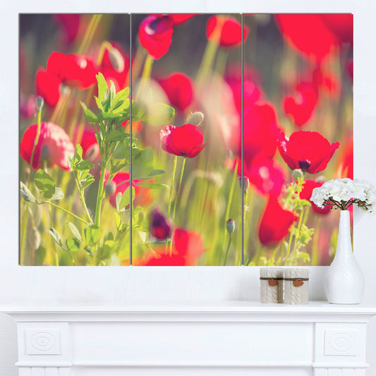 Design Art &Red Poppies on Green Background& 3 Piece Photographic Print on Wrapped Canvas Set TFI7_A8EGB44