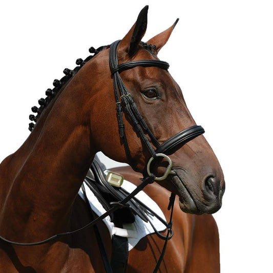 Collegiate Syntovia+ Padded Raised Flash Bridle LXE0_J4MAS89