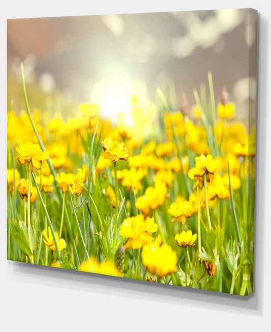 Design Art &Sunny Meadow with Yellow Flowers& Photographic Print on Wrapped Canvas FPE0_G4XRQ88