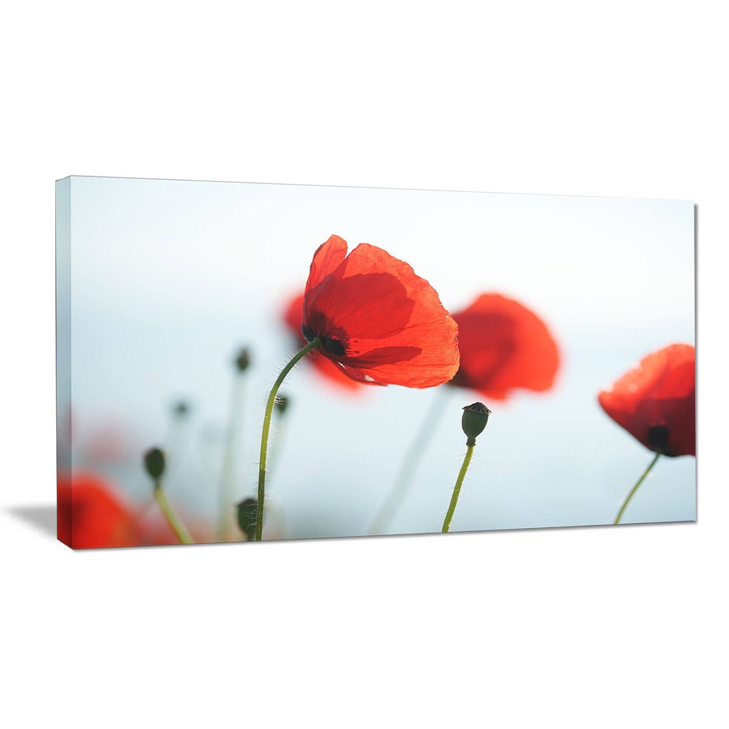 Design Art &Poppies on Background of Sea& Photographic Print on Wrapped Canvas, Size: 30 inch x 40 inch, Red KJU0_S5PFW54