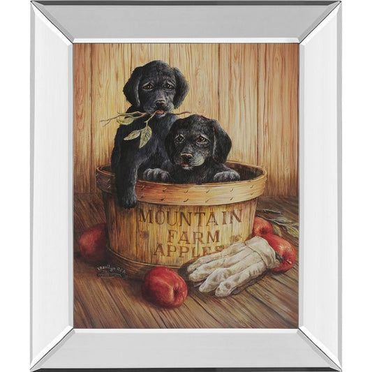 Classy Art 266MF 22 x 26 in. Black Labs Mirror Framed Print Wall Art XAB2_F1BTY74