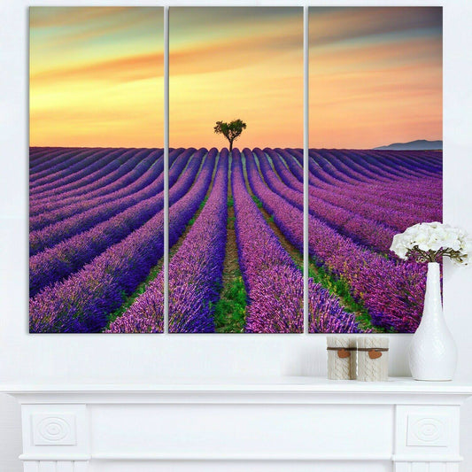 Design Art Lavender Flower Rows in Provence - Oversized Landscape Wall Art Print - Blue ZLH5_S2BAR87