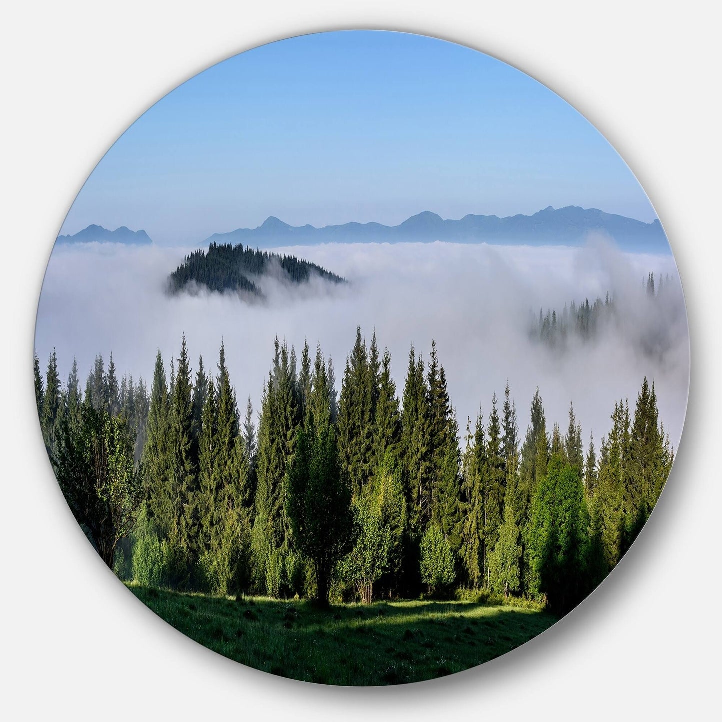 Designart Green Trees and Fog Over Mountains Landscape Round Metal Wall Art - 29 x 29 - Disc of 29 inch DMG8_I9NVF28