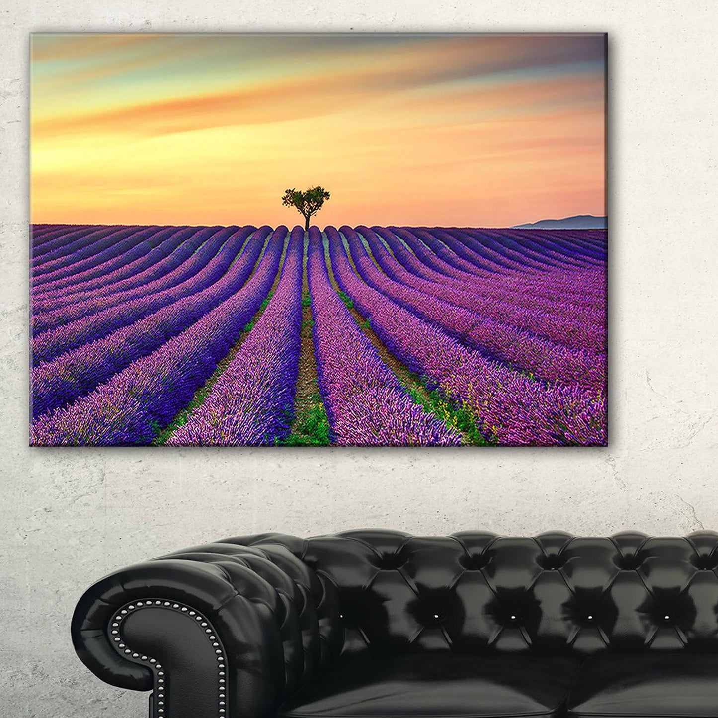 Design Art Lavender Flower Rows in Provence Photographic Print on Wrapped Canvas, Size: 20 inch H x 40 inch W x 1 inch D, Blue EXO9_L8NLM91