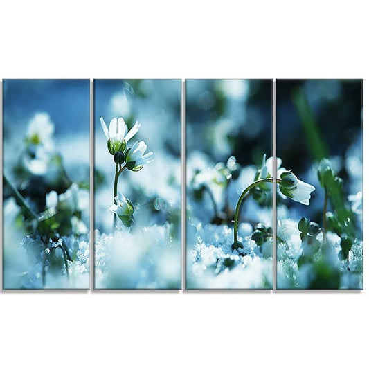 Design Art &Little White Flowers in Meadow& 4 Piece Photographic Print on Wrapped Canvas Set BLM5_G8YLZ43