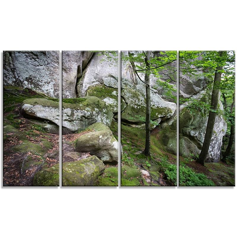 Deep Moss Forest with Rocks 4 Piece Photographic Print on Wrapped Canvas Set Design Art ZUU1_Q1DOO86