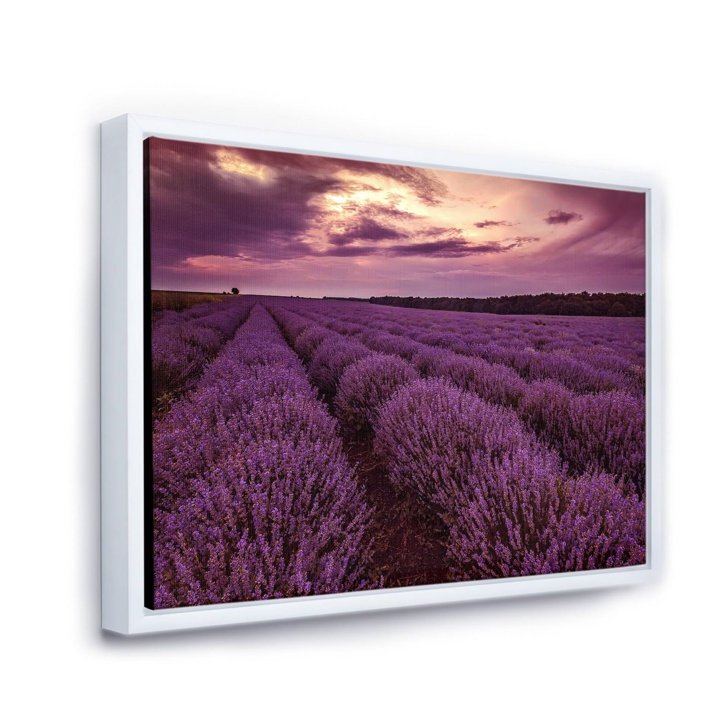 Designart &Sunrise Dramatic Clouds Over Lavender Field III& Farmhouse Framed Canvas Wall Art Print - 32 in. Wide x 24 in.  CUE4_J7KNH07