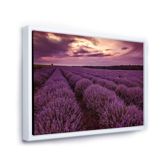 Designart &Sunrise Dramatic Clouds Over Lavender Field III& Farmhouse Framed Canvas Wall Art Print - 32 in. Wide x 24 in.  CUE4_J7KNH07